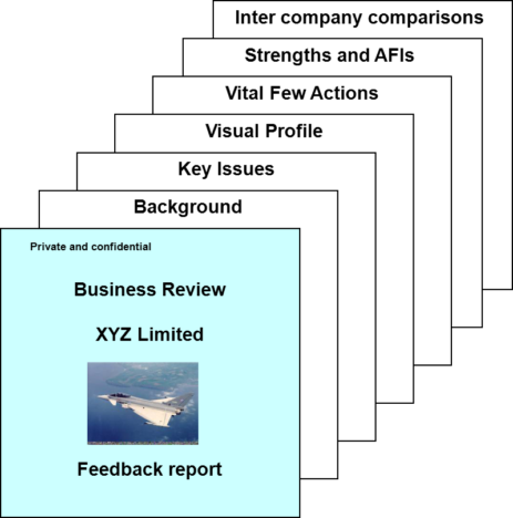 Business Review Business Review